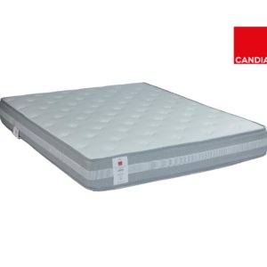 Acanthus with logo 1