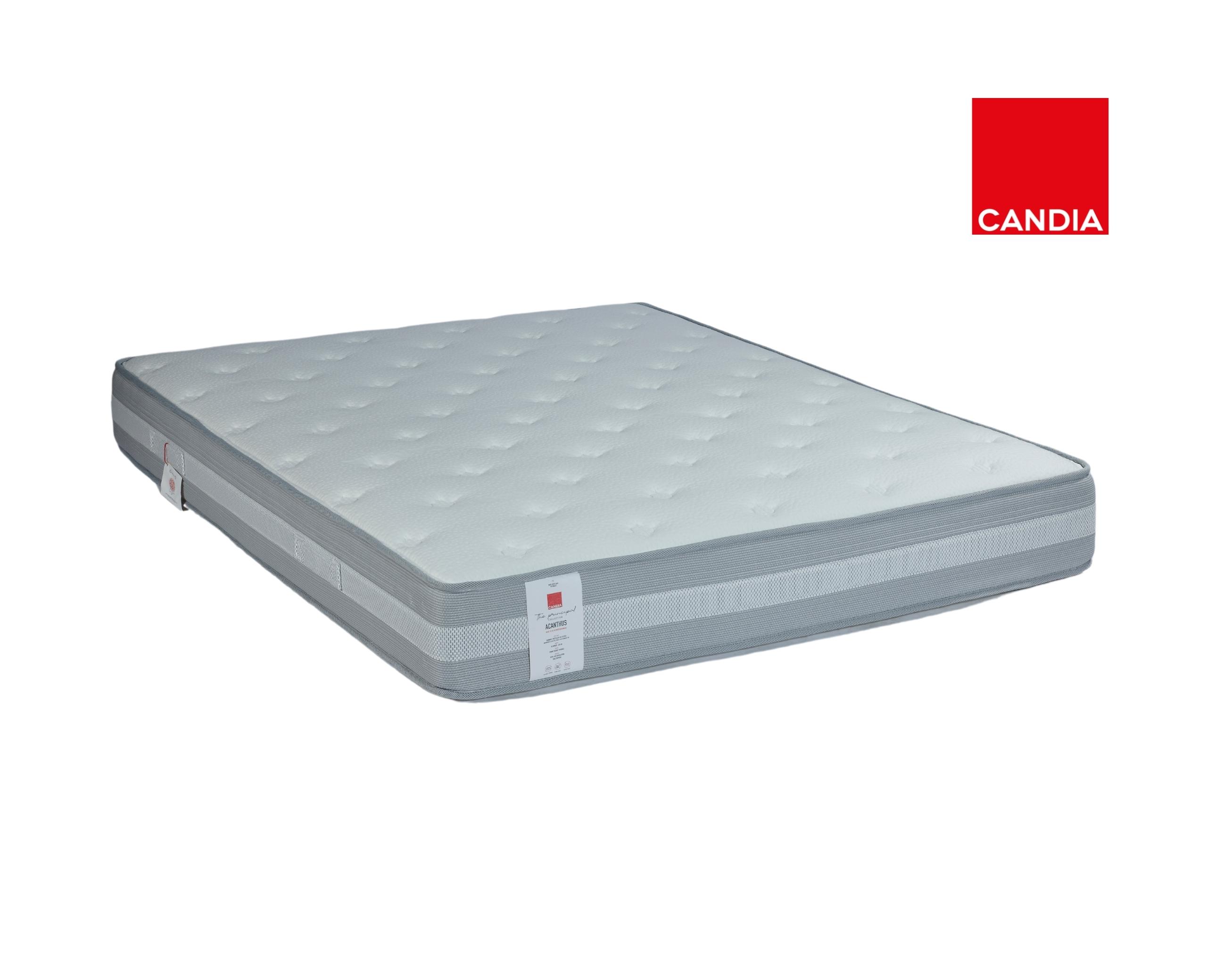 Acanthus with logo 1