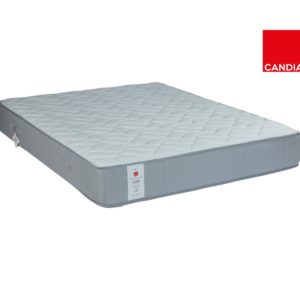 Apollonia with logo 1