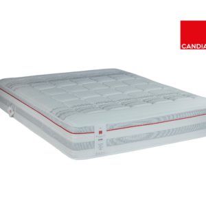 Phaistos with logo 1