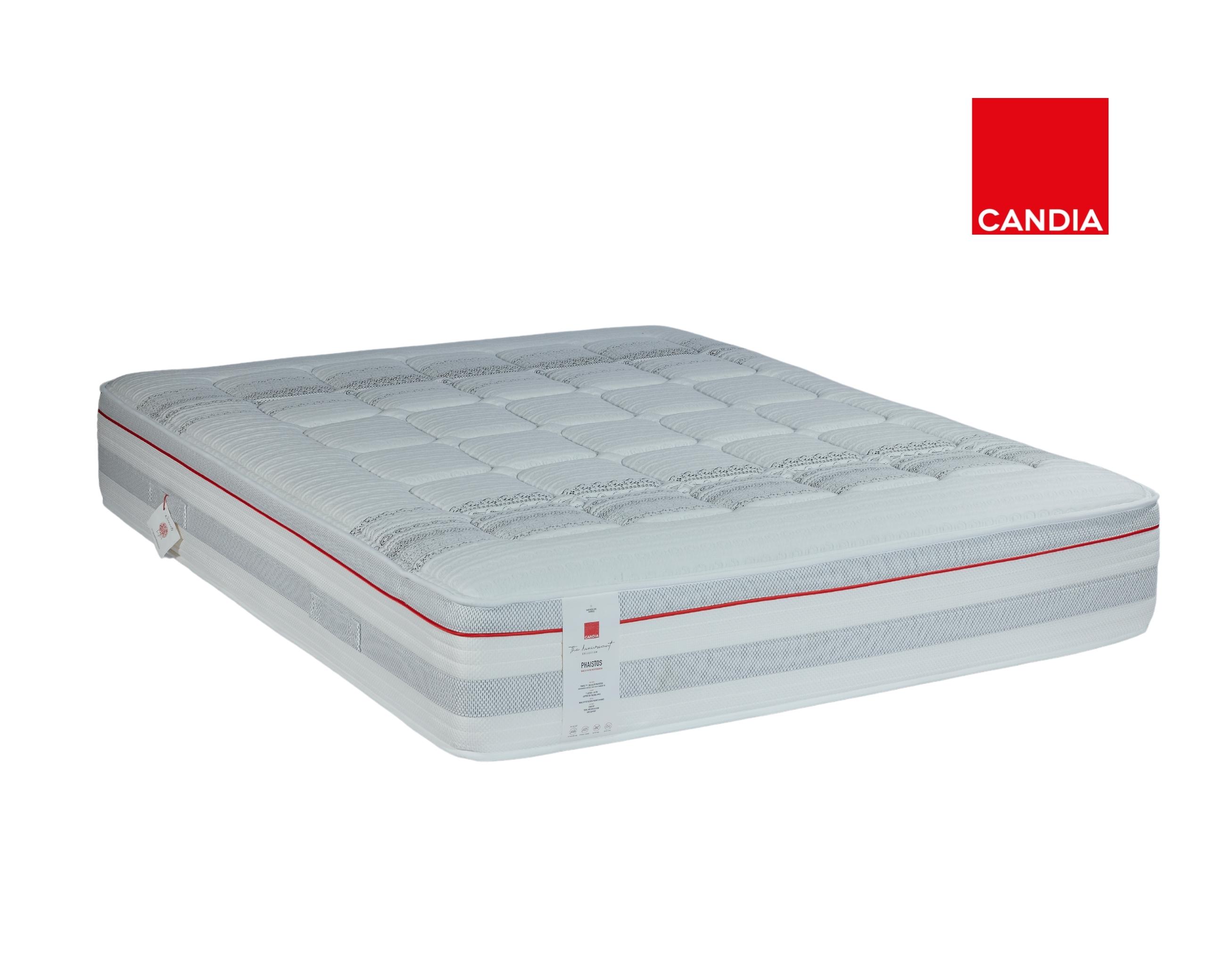 Phaistos with logo 1